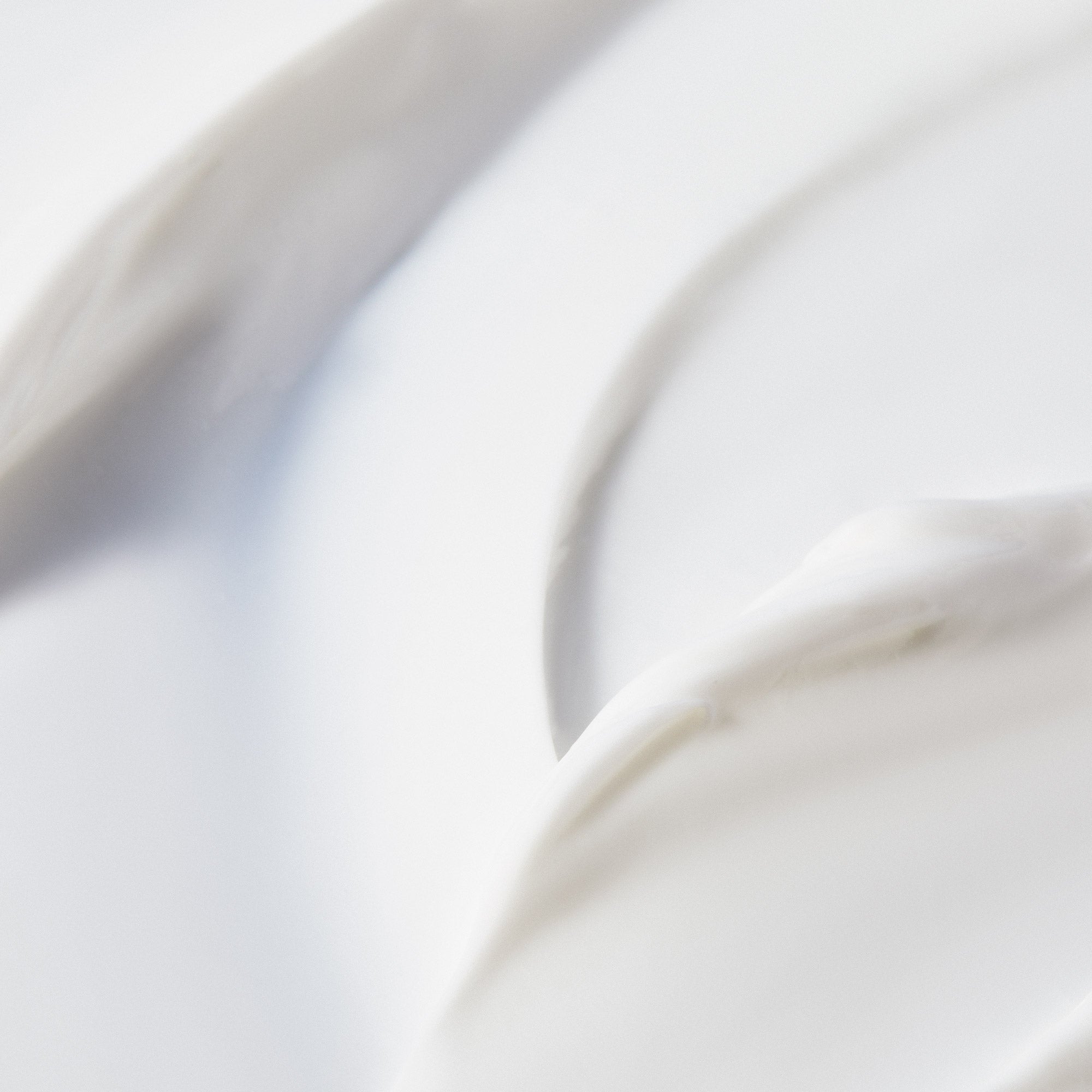 Crème Riche Hydratante l 48h - NUXE